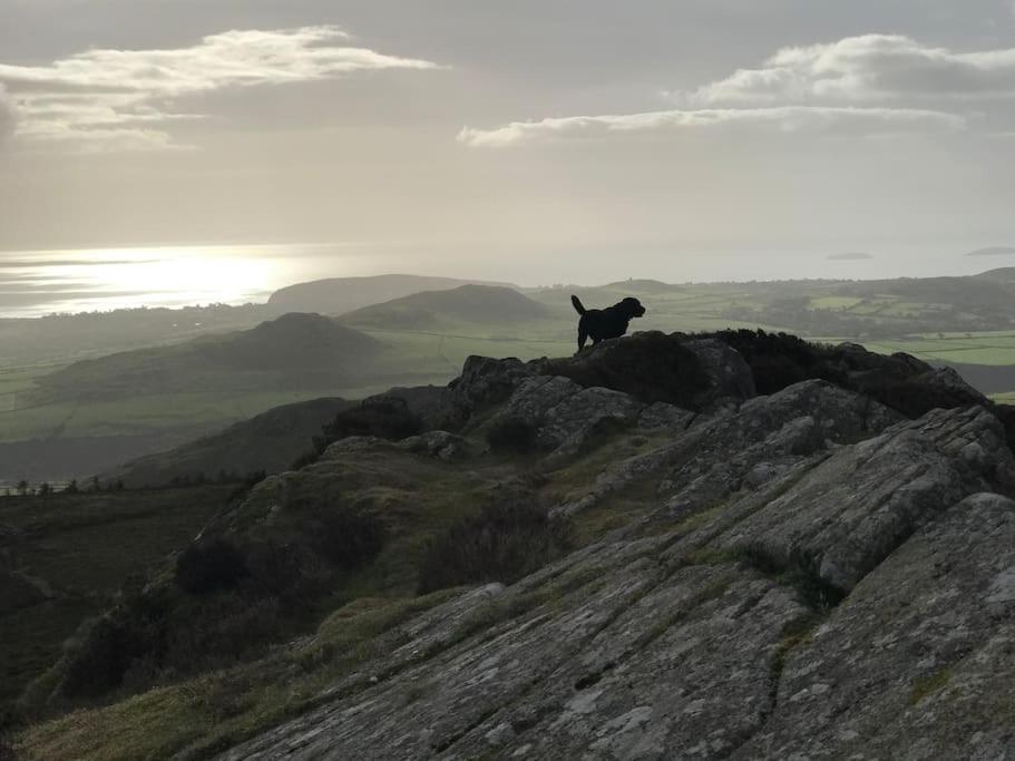 Gorffwysfa Cottage, Garnfadryn, Nr Abersoch Dinas  Exteriör bild